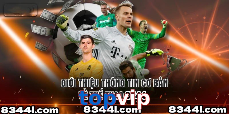 Giới Thiệu Thông Tin Cơ Bản Về Chuyên Mục Thể Thao topvip